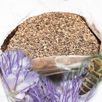 Svazenka vratičolistá 1 kg