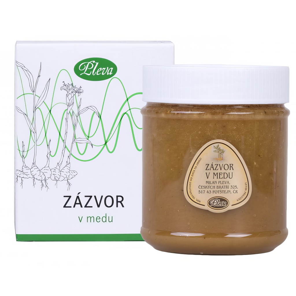 Zázvor lékařský v medu - PLEVA